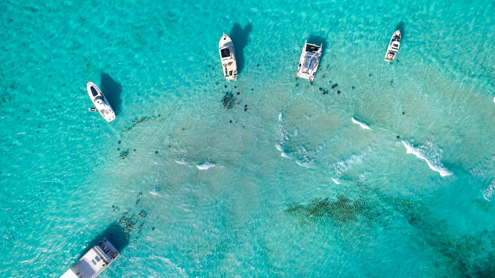 Boats gathered in Cayman Islands